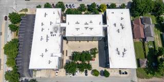 Pinnex Gallery 82