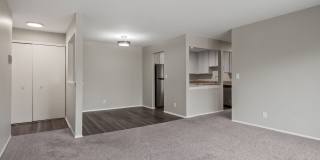 Chalet Villa Apartments Gallery 25