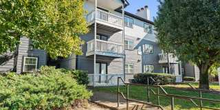 Avana Collins Creek Gallery 34