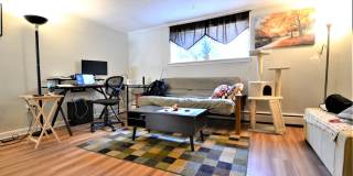 58 Bryon Rd Gallery 4