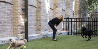 The Milwaukee Fortress Gallery 15