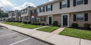 Olde Forge Gallery 8