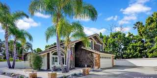 32951 Danapine Gallery 1