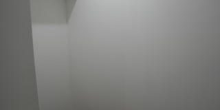 514 E 27th St Gallery 12