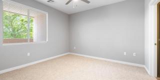 Olympus Alameda Gallery 6