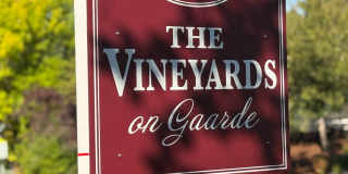 The Vineyards at Gaarde Gallery 1