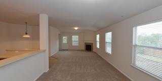 15746 Cotton Tail Gallery 9