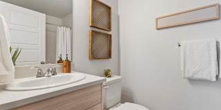 Amazon Falls Gallery 14