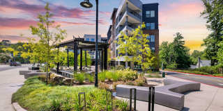 Ellison Parkview Gallery 10