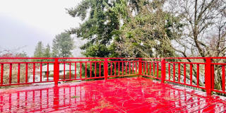 Tranquil House on Quiet South Delridge Street! Gallery 26