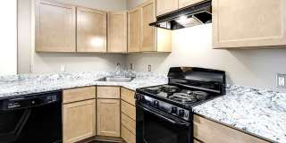 Greenhouse Gallery 41