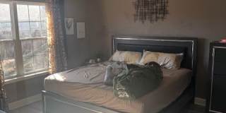 396 Alcott Cir Gallery 7