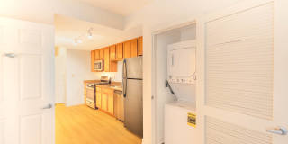 The Veridian Gallery 33