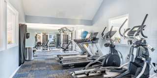 Galleria Park Gallery 11