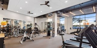 The Asher Gallery 13