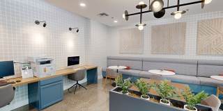 The Matisse Gallery 12