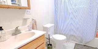 216 Freeman St. Gallery 6