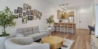 Lotus Republic Gallery 54