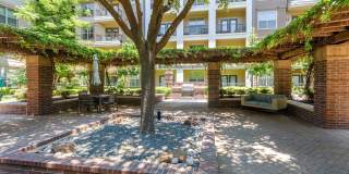 Alma on Maple Gallery 30