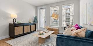 NOVEL Morrisville Gallery 10