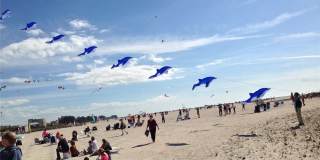 11315 3RD STREET E Gallery 43