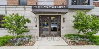 3503 Bellflower Lane Gallery 7