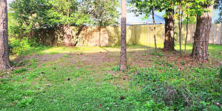 2519 Beech St Gallery 11