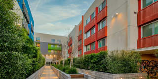 Windsor at Dogpatch Gallery 6