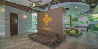 Bloom Gallery 6