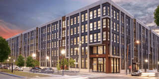 295J 295J Gallery 19