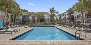 Alvista Hollywood Gallery 4