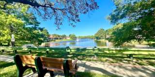 1813 Wood Fern Drive Gallery 19