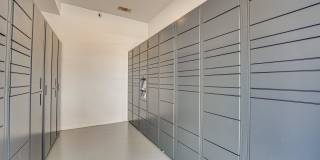 Vue Live Oak Gallery 34