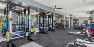 Alta Rise Gallery 16