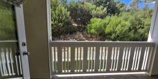 1110 Hibiscus Way Gallery 21