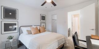 Elle Collection Gallery 17