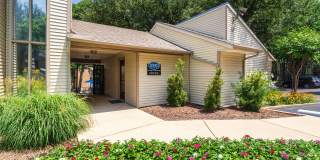 Canyon Creek Gallery 35
