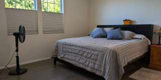 4848 Shelby Place Gallery 10