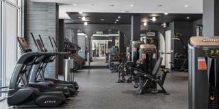 Tortoise One Gallery 46