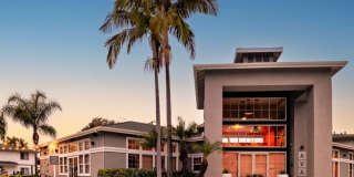 Ava Newport Gallery 22