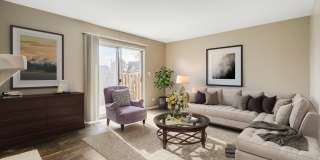 Forest Cove Gallery 5