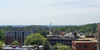 AVA Van Ness Gallery 34