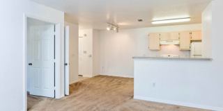 River Trace Apartments and Homes - Affordable Housing Gallery 26