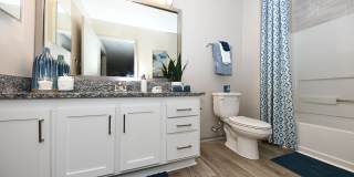 Ascent Apartment Homes Gallery 18