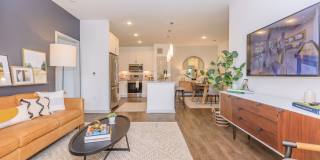 Ravella at Sienna Gallery 16