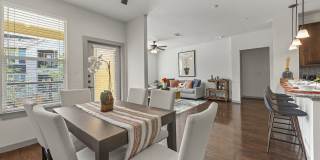 Sonterra Blue Gallery 14