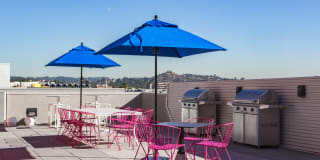 The Brand Gallery 23