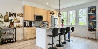Modern 2020 Built Townhome Just Steps from Downtown Ferndale! Gallery 5