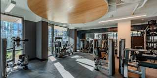 Theory Gallery 10