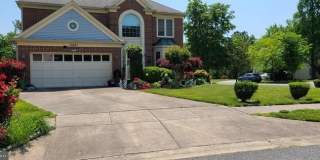 11601 LIGHTHOUSE Drive Gallery 1